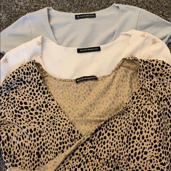 My brandy collection! - Picture 11 of 16